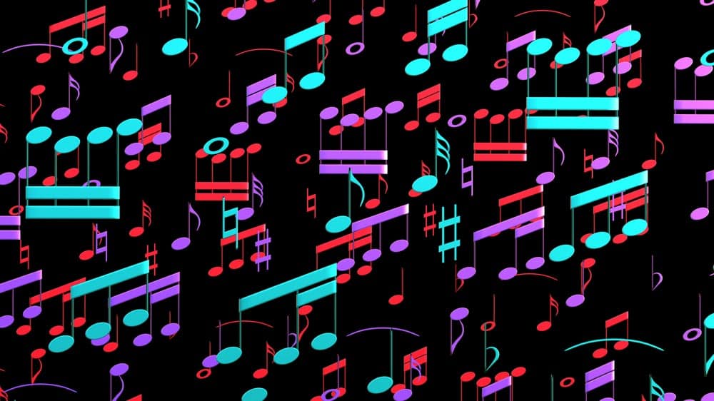 איך לעשות ביטמיקס?